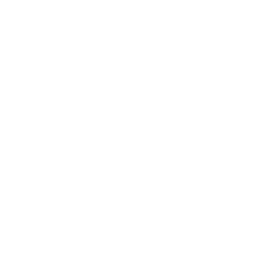 Connexus Association
